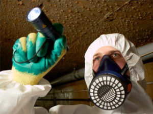 types of asbestos surveys