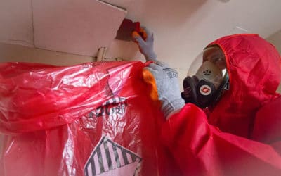 What are some common myths and misconceptions about asbestos removal in the UK?