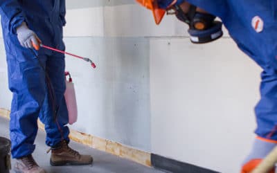 Asbestos Floor Tile Removal Cost Guide for 2025